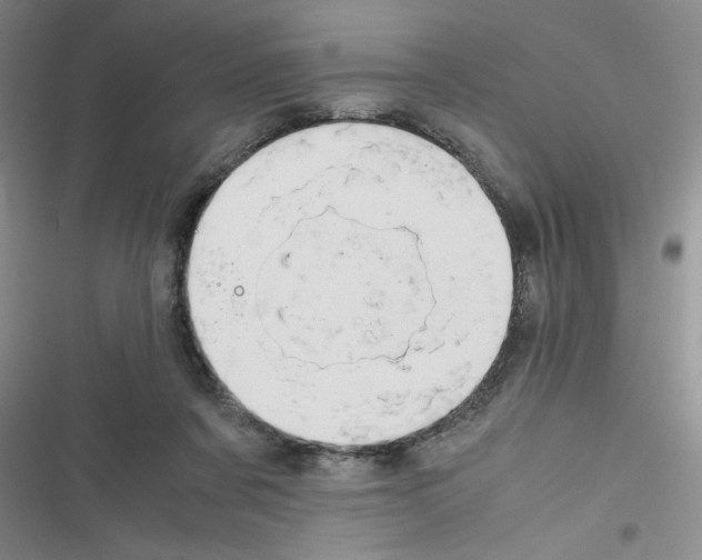 X0000116660311201001251223