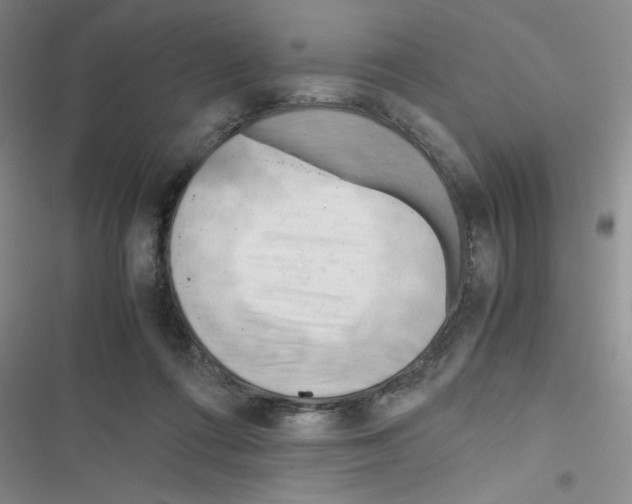 X0000116660312201001251223