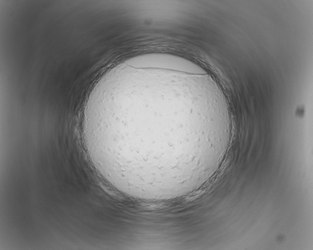X0000116660313201001251223