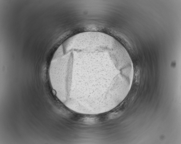 X0000116660314201001251223