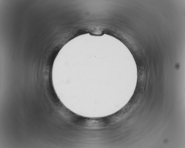 X0000116660315201001251223