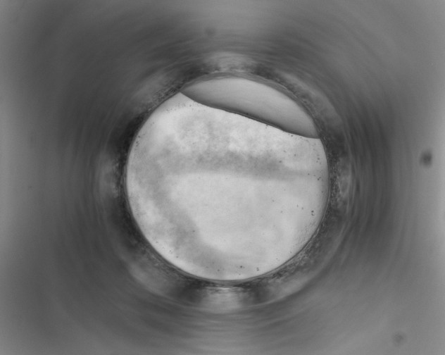 X0000116660316201001251223