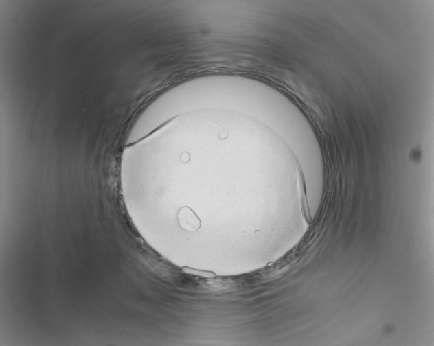 X0000116660317201001251223
