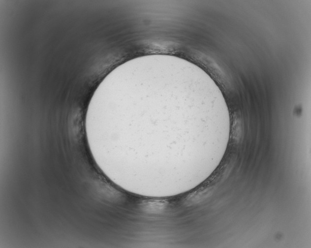 X0000116660318201001251223