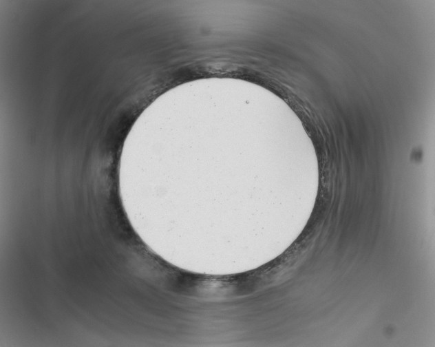 X0000116660319201001251223