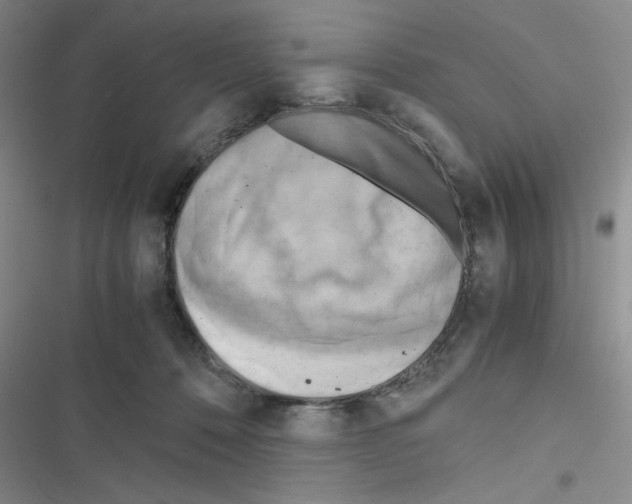 X0000116660320201001251223