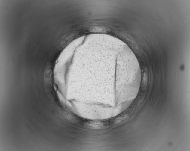 X0000116660322201001251223