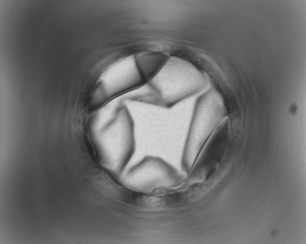 X0000116660325201001251223