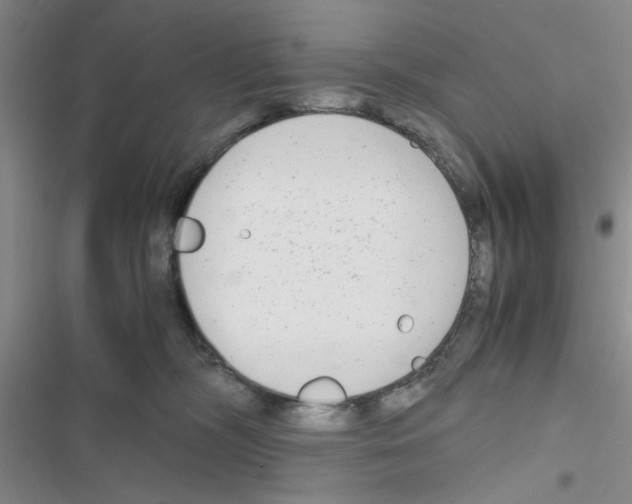 X0000116660326201001251223