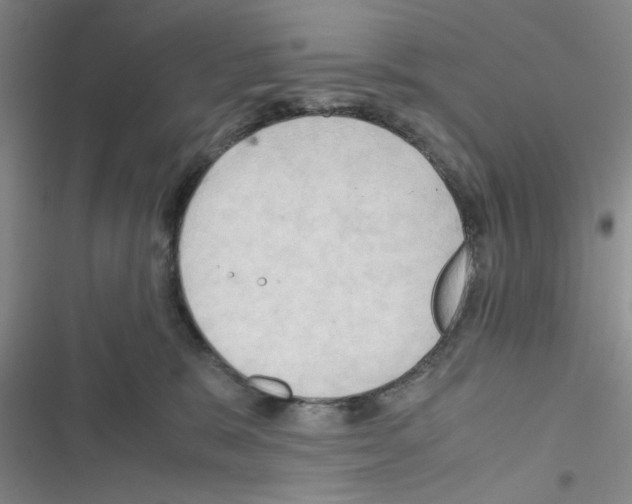 X0000116660327201001251223
