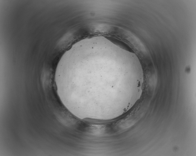 X0000116660328201001251223
