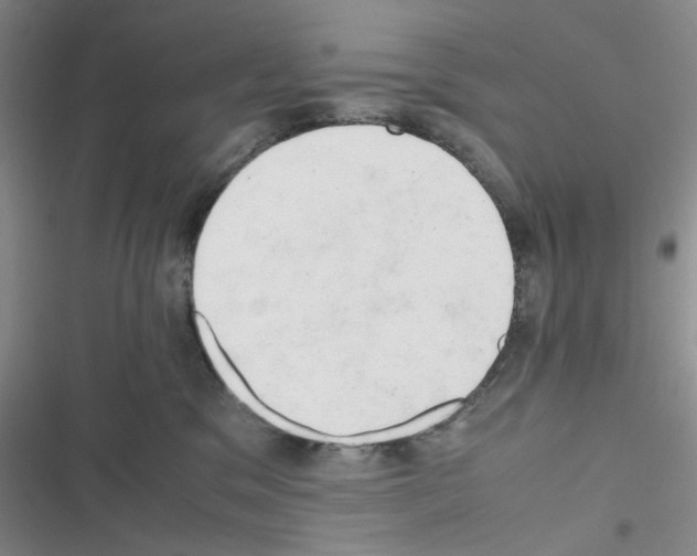 X0000116660329201001251223
