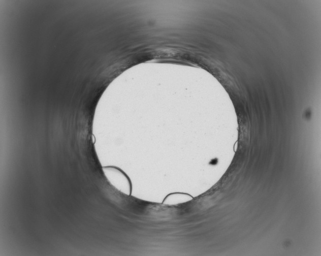X0000116660331201001251223