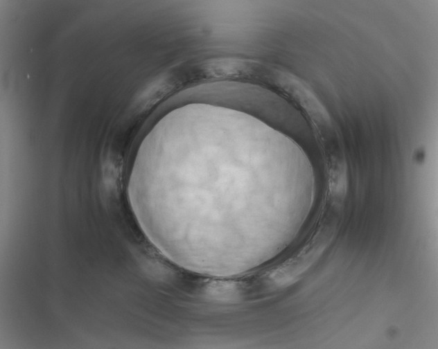 X0000116660332201001251223