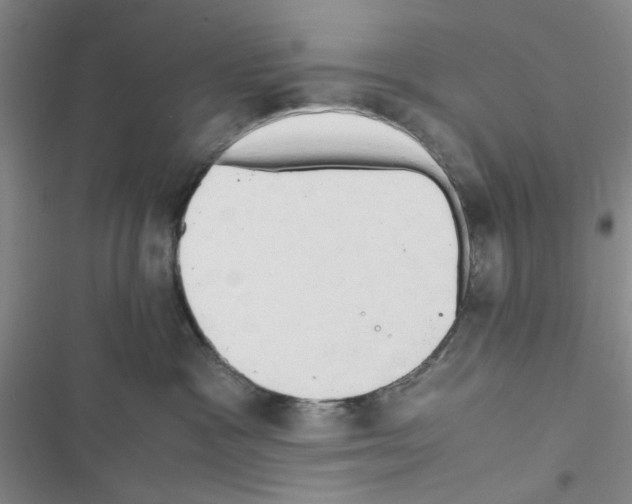 X0000116660333201001251223