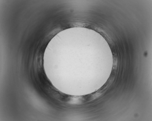 X0000116660334201001251223