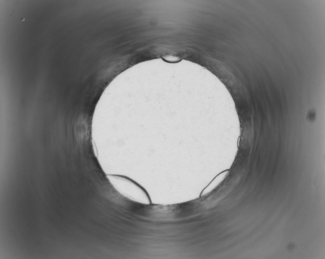 X0000116660335201001251223