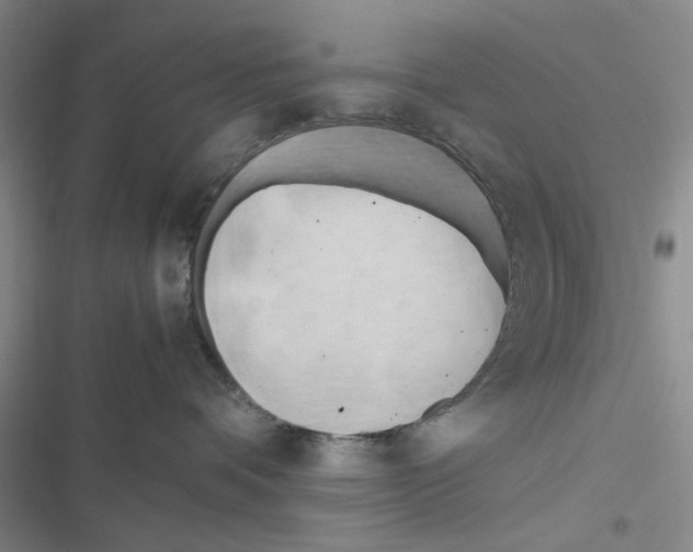 X0000116660336201001251223