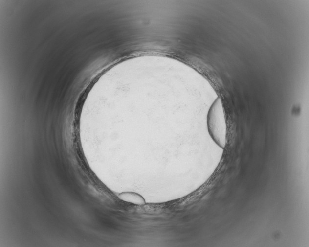 X0000116660338201001251222