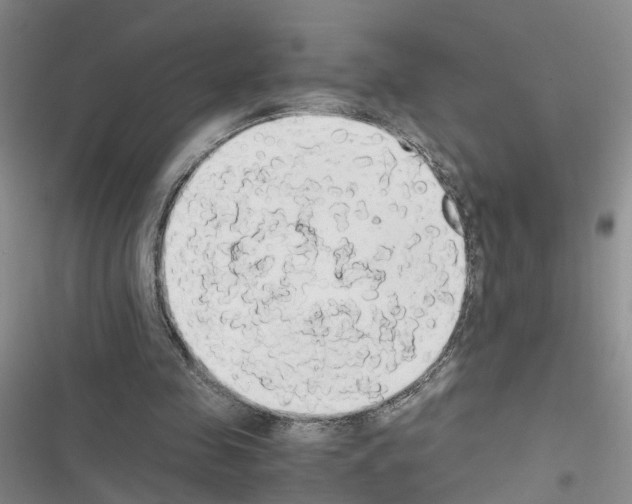 X0000116660341201001251222