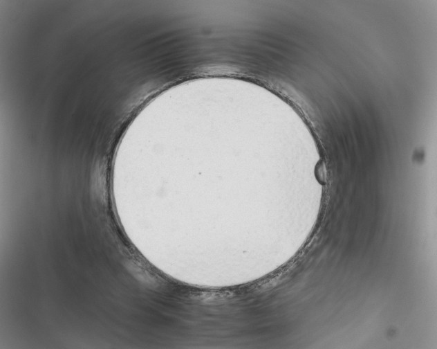 X0000116660345201001251222