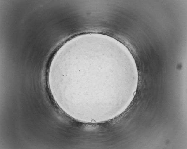 X0000116660346201001251222