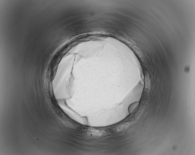 X0000116660347201001251222