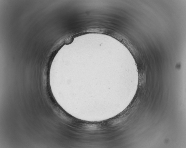 X0000116660349201001251222