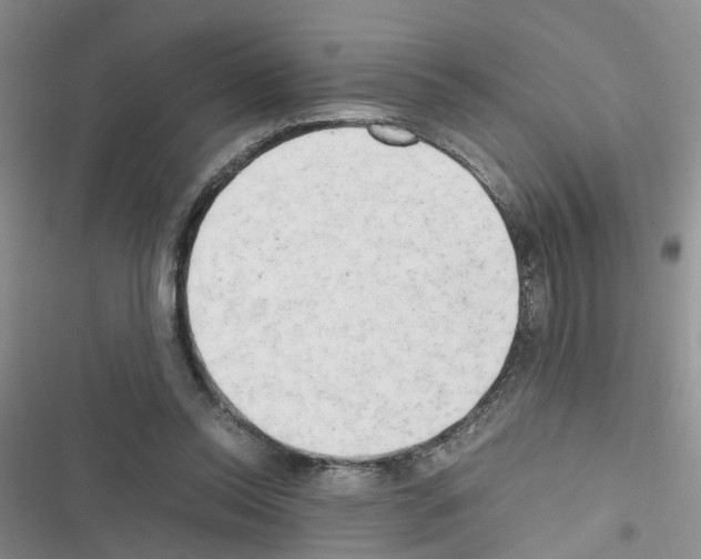 X0000116660350201001251222