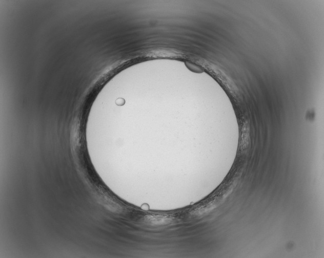 X0000116660351201001251222