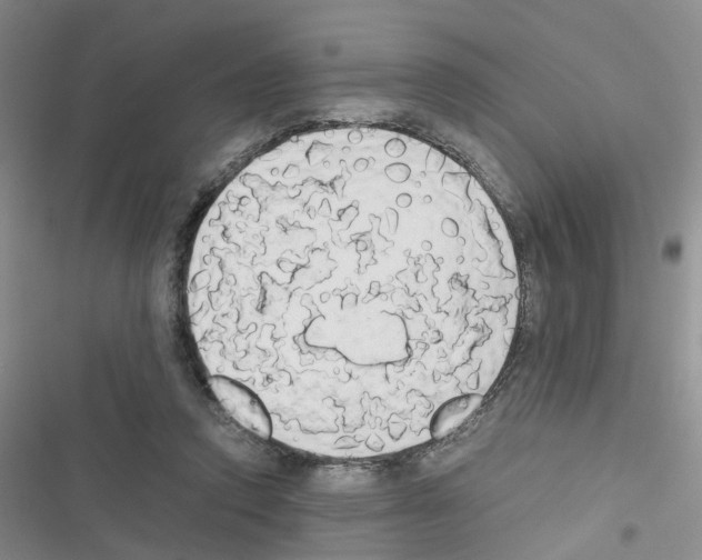 X0000116660354201001251222