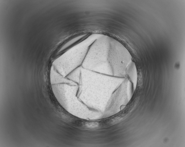 X0000116660355201001251222