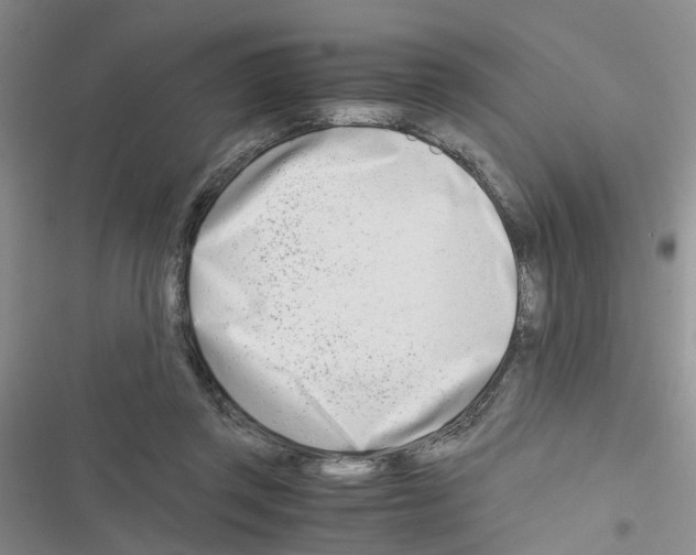 X0000116660357201001251222
