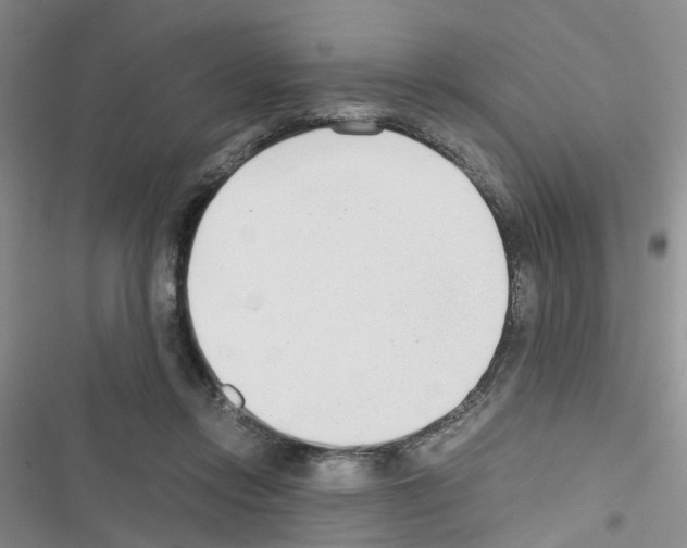 X0000116660358201001251222