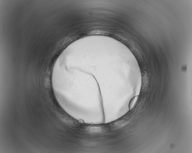 X0000116660361201001251222