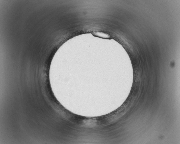 X0000116660362201001251222