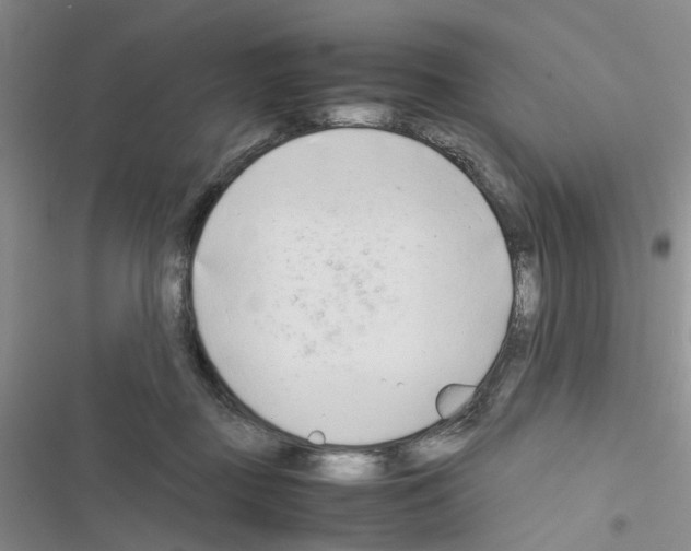 X0000116660363201001251223