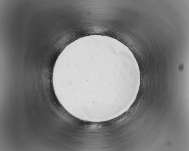 X0000116660366201001251223