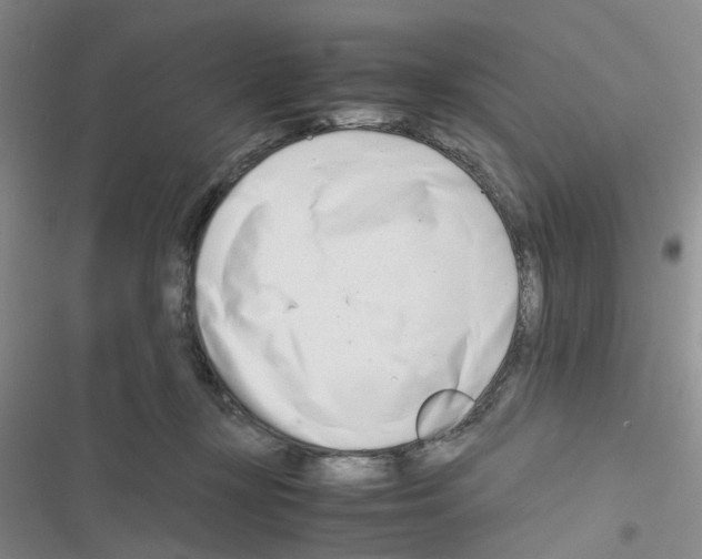 X0000116660367201001251223