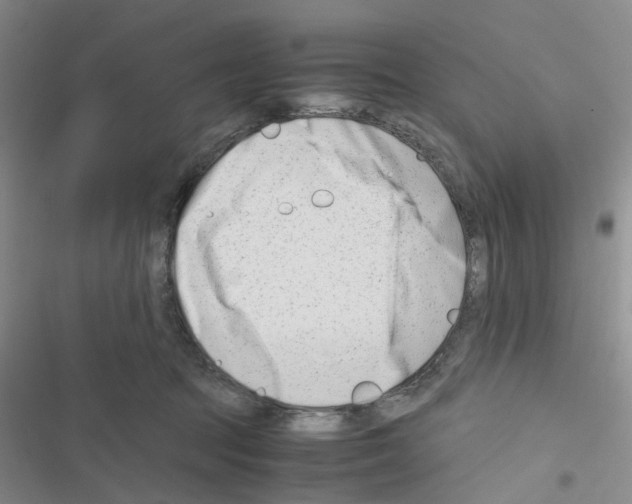 X0000116660369201001251223