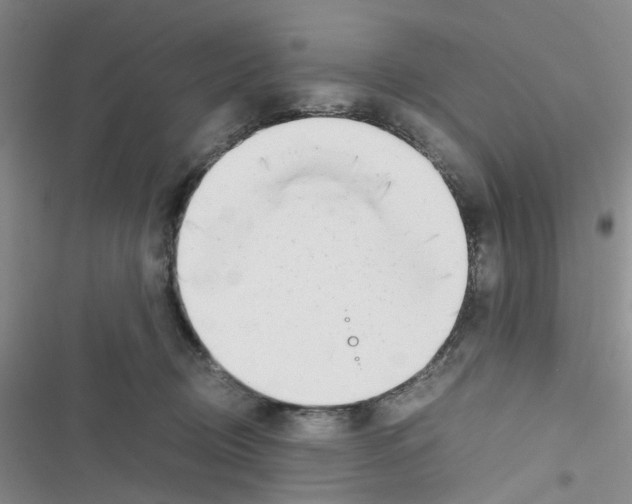 X0000116660370201001251223