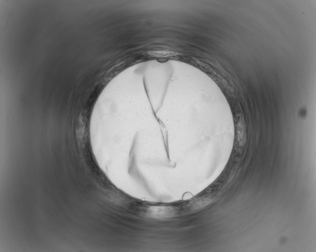 X0000116660371201001251223