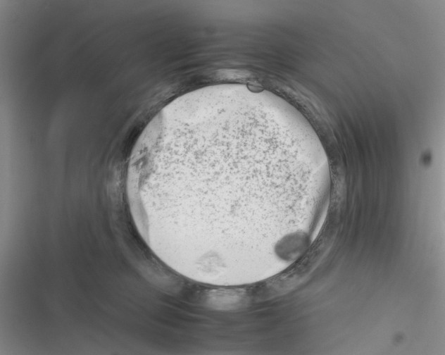 X0000116660373201001251223