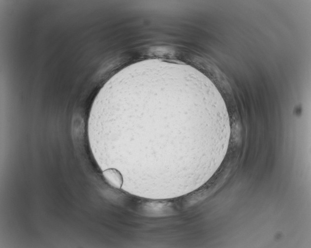 X0000116660375201001251223
