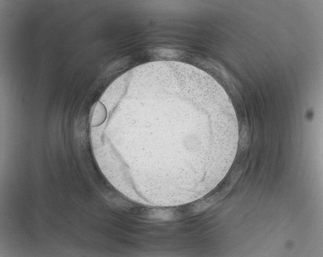 X0000116660377201001251223