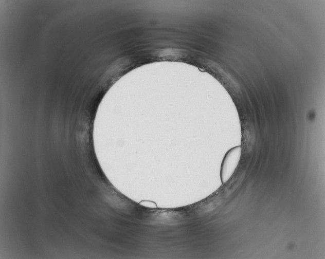 X0000116660379201001251223