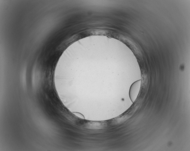 X0000116660381201001251223