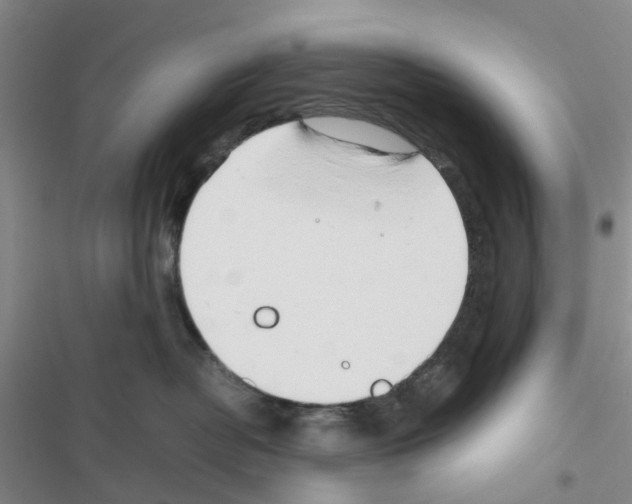 X0000116660382201001251223