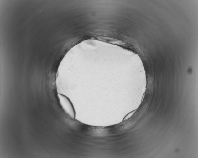 X0000116660383201001251223
