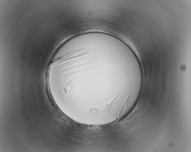 X0000116660386201001251222